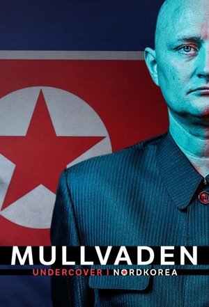Watch Free The Mole Undercover in North Korea (2020)