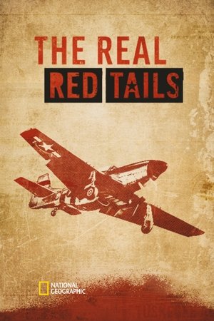 Watch Full Movie: The Real Red Tails (2024)