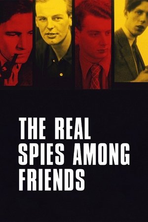 Watch Free The Real Spies Among Friends (2022)