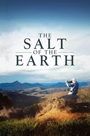Watch Free The Salt of the Earth (2014)