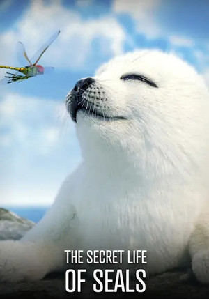 Watch Free The Secret Life of Seals (2022)