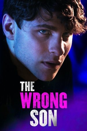 Watch Free Her Sons Secret (2018)