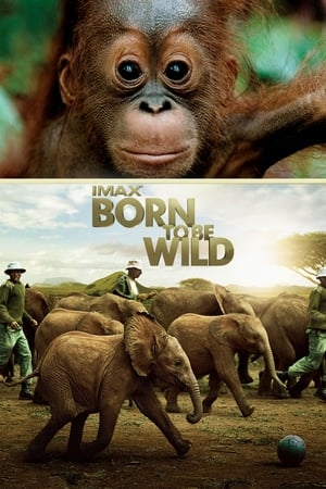 Watch Free Born to Be Wild (2011)