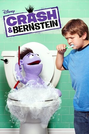 Watch Free Crash Bernstein (2012-2014)