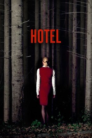Watch Free Hotel (2004)