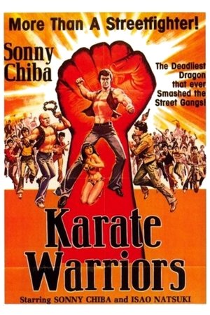 Watch Free Karate Warriors (1976)