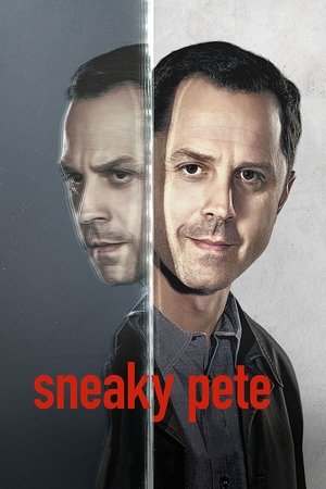 Watch Free Sneaky Pete (2015)