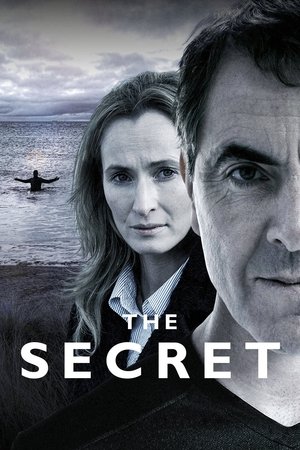 Watch Free The Secret (2016)