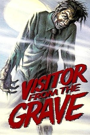 Watch Free Visitor from the Grave (1980)