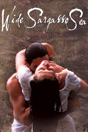 Watch Free Wide Sargasso Sea (1993)