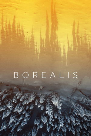 Watch Free Borealis (2020)