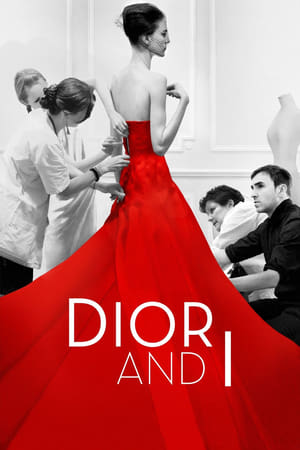 Watch Free Dior and I (2014)