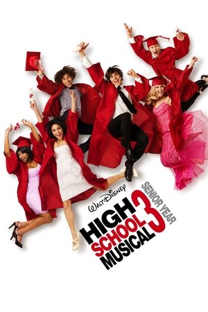 Watch Free High School Musical 3