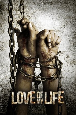 Watch Free Love of my Life (2013)