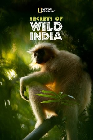Watch Free Secrets of Wild India (2012-)