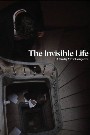 Watch Free The Invisible Life (2013)