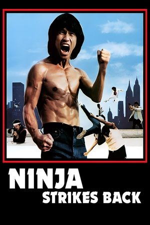 Watch Free Ninja Strikes Back (1982)