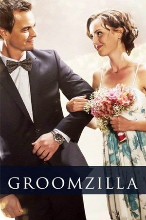 Watch Free Groomzilla (2017)