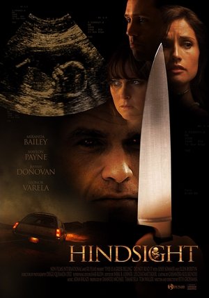 Watch Free Hindsight (2008)