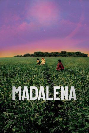 Watch Free Madalena (2021)