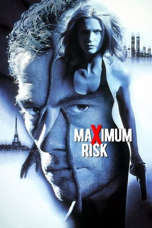 Watch Free Maximum Risk (1996)