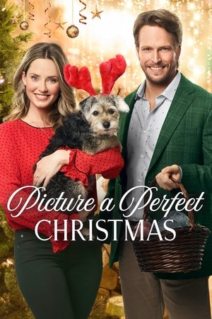 Watch Free Picture a Perfect Christmas (2019)
