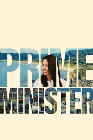 Watch Free Prime Minister (2025)