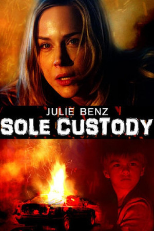 Watch Free Sole Custody (2014)