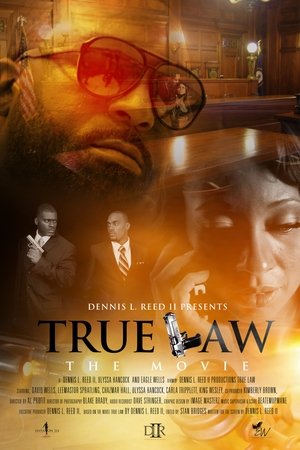 Watch Free True Law (2015)