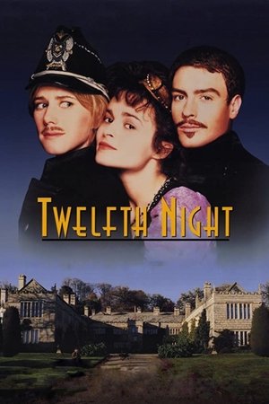 Watch Free Twelfth Night or What You Will (1996)