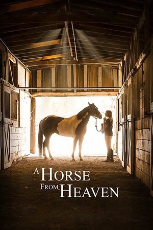Watch Free A Horse from Heaven (2018)