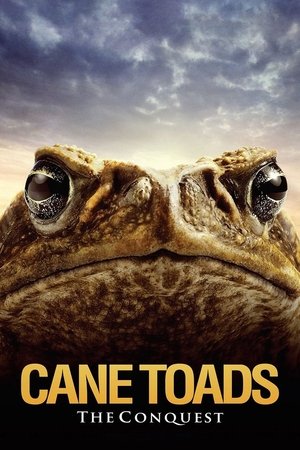 Watch Free Cane Toads: The Conquest (2010)