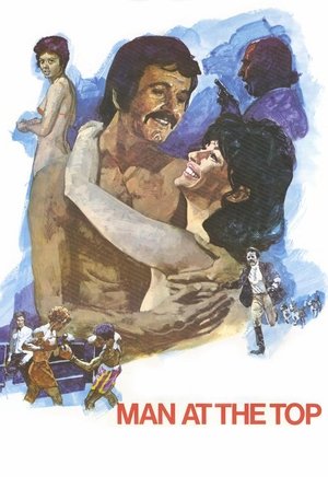 Watch Free Man at the Top (1973)