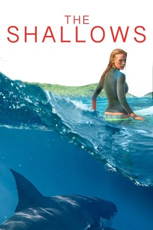 Watch Free The Shallows (2016)