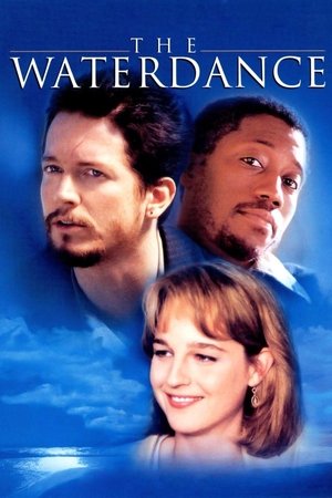 Watch Free The Waterdance (1992)