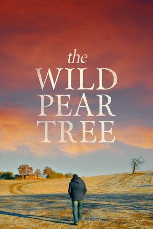 Watch Free The Wild Pear Tree (2018)