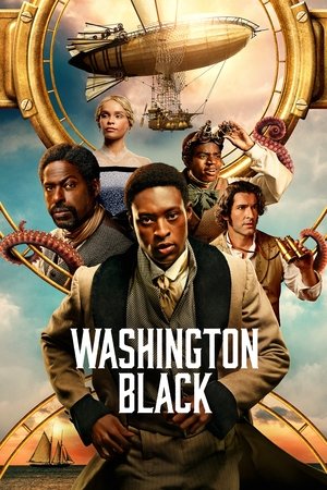 Watch Free Washington Black (2025-)