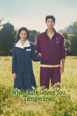 Watch Free You Have Done Well (2024-)