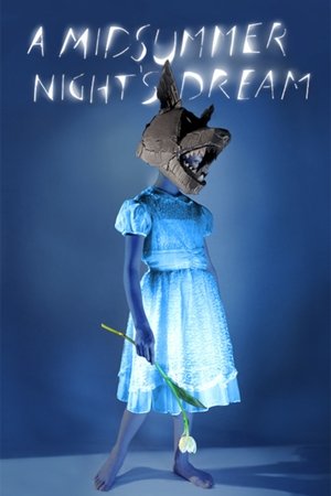Watch Free A Midsummer Nights Dream (2014)