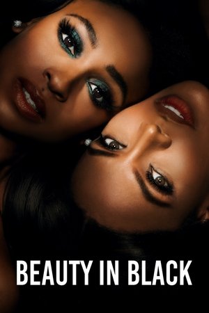Watch Free Beauty in Black (2024–)
