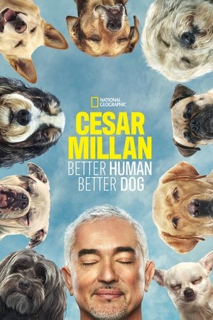 Watch Free Cesar Millan Better Human Better Dog (2021-)