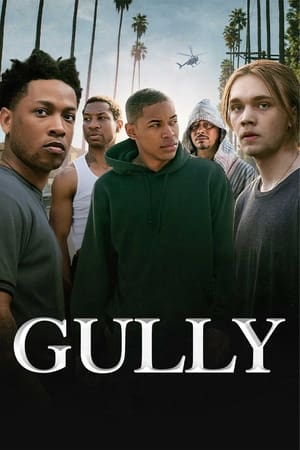 Watch Free Gully (2019)