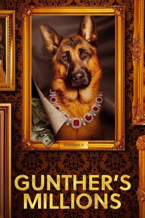Watch Free Gunthers Millions (2023-)