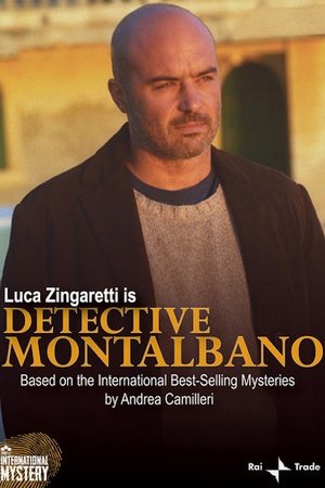 Watch Free Detective Montalbano (1999 2021)