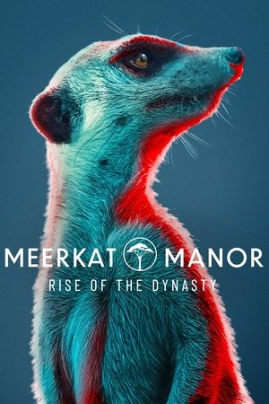 Watch Free Meerkat Manor: Rise of the Dynasty (2021 )