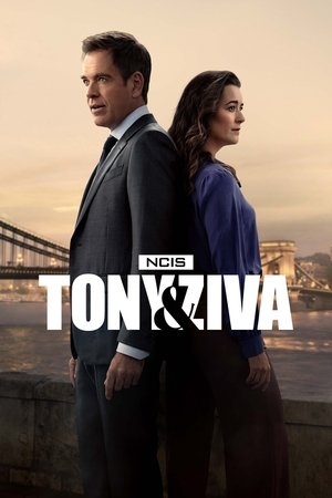 Watch Free NCIS Tony Ziva (2025–)