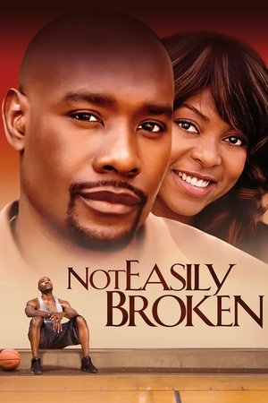 Watch Free Not Easily Broken (2009)