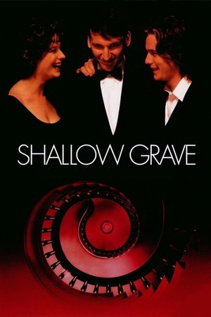 Watch Free Shallow Grave (1994)