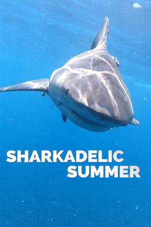 Watch Free Sharkadelic Summer (2020)