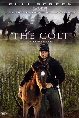Watch Free The Colt (2005)